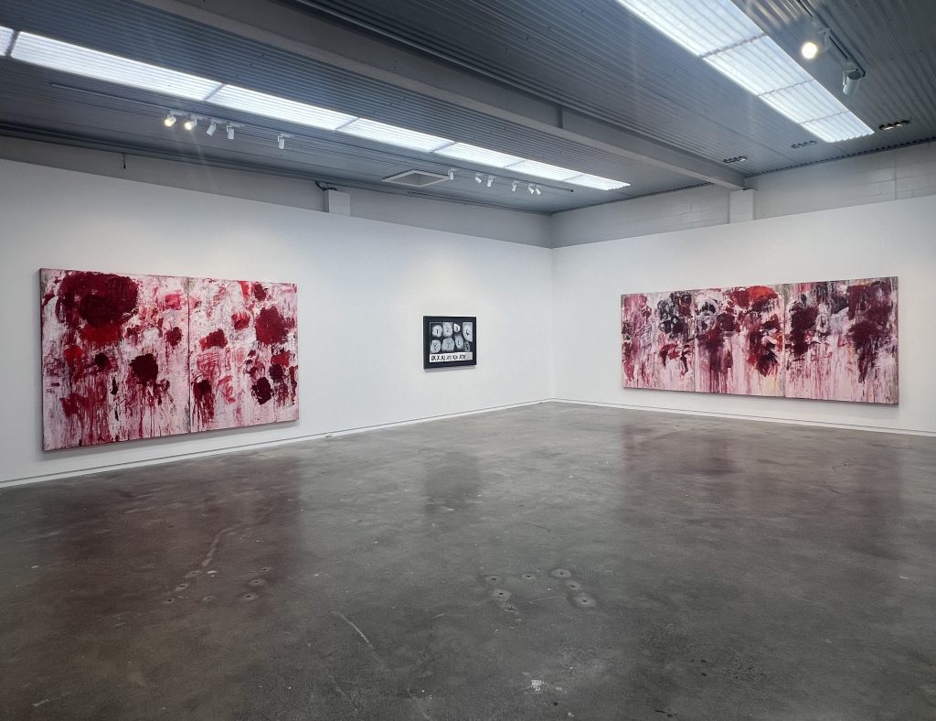 Installation: A Long Thread of Attention - Colin McCahon & Aida Tomescu