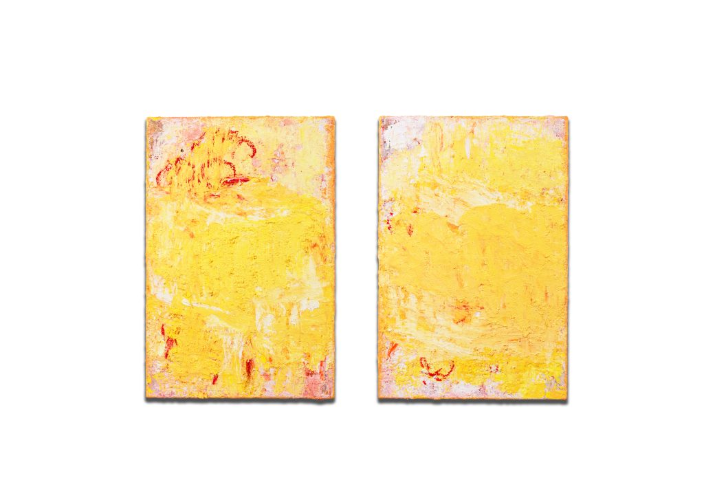 Aida Tomescu
Phosphor I & II, 2026
oil on Belgian linen 
60 x 40 cm each
Private Collection